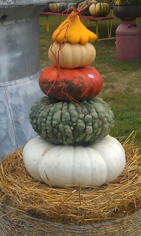 Pumpkin stacker at Hawk Valley Garden Pumpkin Stacks, Pumpkin Stack, Pumpkins And Leaves, Pumpkin Stand, Pumpkins And Gourds, Pumpkin Stands, Fall Containers, Pumpkin Display, Stacked Pumpkins