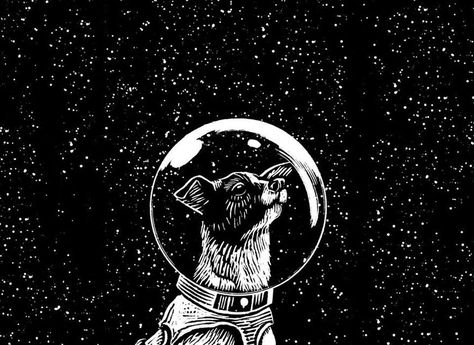 Laika  Ilustración: David Lara Laika Space Dog Art, Laika Art, Laika Tattoo, Laika Space Dog, Laika Dog, Space Dogs, Space Animals, Dog Motif, Lino Art