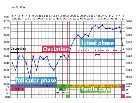 Charting Your Basal Body Temperature (BBT) - Nabta Health | Personalised Healthcare for Women Basal Temperature Chart, Basal Body Temperature Chart, Basal Body Temperature, Temperature Chart, Menstrual Health, Body Temperature, Health Care, Health, For Women