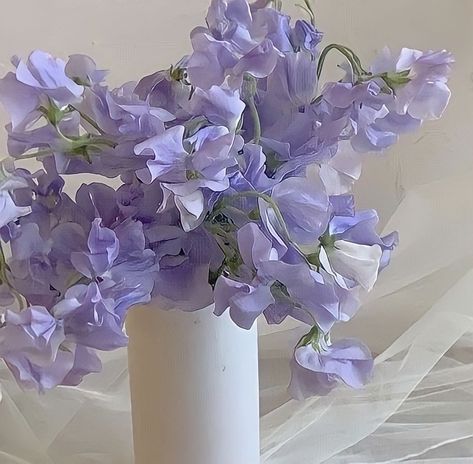 Violet Flower Bouquet, Lilac Theme, Purple Palace, Purple Pics, Soft Purple Aesthetic, Aesthetic Layout, Laptop Aesthetic, Aesthetic Bible, Purple Spring