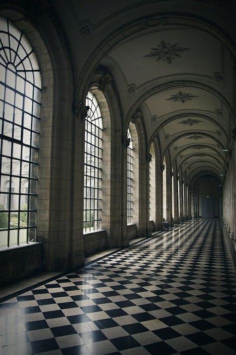 Gothic Castle Aesthetic, Dark Academia Castle, Gothic Hallway, Gothic Castle Interior, Castle Aesthetic Interior, Goth Castle, Manor Aesthetic, Goth Architecture, Gothic Manor