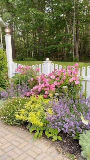 English Cottage Garden Full Sun, Clark Cottage Garden, Planting Tulip Bulbs, Creative Gardens, Creative Garden Decor, Planting Tulips, Hardy Geranium, Fence Garden, Corner Garden