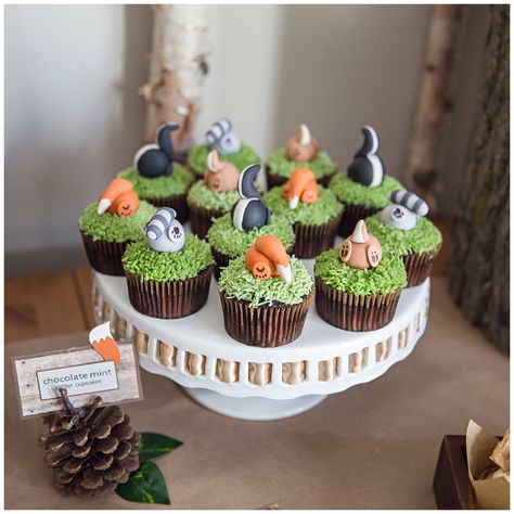 Woodland Birthday Party | Moments on the Blog Woodland Birthday Cupcakes, Woodland Birthday Food, Woodland Cupcakes Baby, Woodland Creature Cupcakes, Woodland Cupcakes Forest Themes, Woodland Cake Birthday, Woodland Baby Shower Cupcakes, Woodland Theme Cupcakes, Woodland Animal Cupcakes