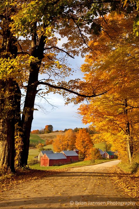 . Country Scenery, Autumn Scenes, Dirt Road, Autumn Scenery, Autumn Beauty, Fall Pictures, Lombok, Country Life, Beautiful World