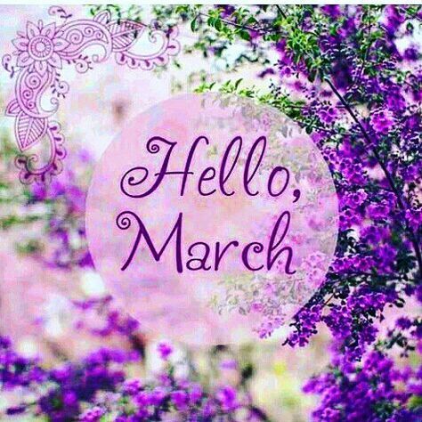 Hello March Images, Hello September Images, April Wallpaper Aesthetic, Spring Wallpaper Iphone, Wallpapers Spring, Aesthetic Spring Wallpaper, Wallpaper April, Welcome April, March Images