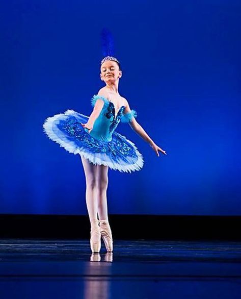 Angela Hammontree on Instagram: “My little bluebird #tututuesday #bluebirdvariation #sleepingbeauty #pointeshoes #ohioconservatoryofballet #bluetutu #shes9now #minidancer…” Bluebird Costume Ballet, Blue Tutu, Ballet Photos, Ballet Tutu, Group Costumes, Pointe Shoes, Dance Costumes, Blue Bird, Sleeping Beauty