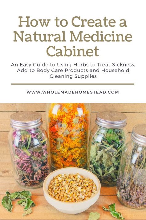 Holistic Medicine Cabinet, Herbal Medicine Cabinet, Natural Medicine Cabinet, Starting A Garden, Holistic Medicine, Take Charge, Edible Plants, Natural Garden, Grow Your Own Food