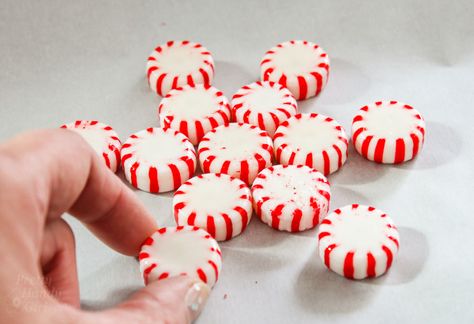 I didn't think this was possible until I saw what she did with these peppermint candies. Melted Peppermint Ornaments, Peppermint Candy Crafts, Peppermint Ornaments, Peppermint Candy Ornaments, Peppermint Ornament, Candy Letters, Peppermint Candies, Candy Wreath, Star Ornaments