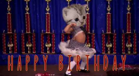 via GIPHY Happy Birthday Meme Gif, Funny Girl Meme, Cat Birthday Memes, Funny Happy Birthday Gif, Happy Birthday Dancing, Funny Cartoons For Kids, Happy Birthday Gif, Funny Happy Birthday Meme, Happy Birthday Cat