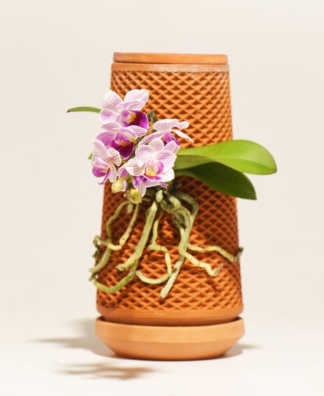 This New Inside-Out Planter Makes It Impossible to Overwater Your Houseplants Clay Orchid Pots, Orchid Planters, Self Watering Pots, Gardening Trends, Orchids Garden, Pot Ideas, Orchid Pot, Self Watering Planter, Self Watering