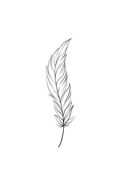 Fine Line Feather Tattoo Design, Fine Line Feather Tattoo, Feather Tattoo Behind Ear, Plumas Tattoo, Feather Line Art, Plume Tattoo, Feather Hip Tattoos, Feather Tattoo Drawing, White Feather Tattoos