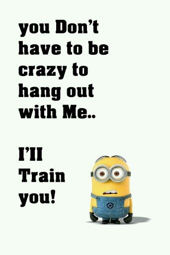 minions - don't have to be crazy Minion Humor, Minion Meme, Funniest Quotes, Minions Humor, Funny Minion Memes, Minion Jokes, Funny Minion Quotes, Minion Quotes, Minions Quotes