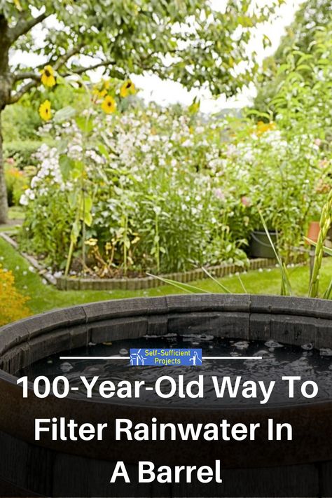 People have been filtering rainwater in barrels for over a century. Collecting nutritious rainwater in a rain barrel from a roof, has many uses: from watering lawns, gardens, or indoor plants to doing laundry. This process has many benefits. Collecting roof runoff in rain barrels reduces the amount of water that flows from your property. It is also a great way to conserve water for a relatively low cost of materials. Natural rainwater is best unfiltered for gardens. Rain Water Barrel Ideas, Rain Barrels, Rain Collection System, Rain Water Barrel, Watering Lawn, Ways To Conserve Water, Rain Barrel System, Water Catchment, Water Barrel