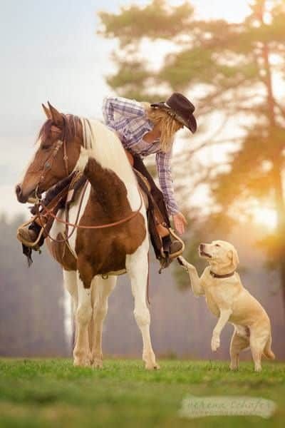 Raise Your Paw For National Dog Day - COWGIRL Magazine Horse And Dog, Cow Boys, Wilde Westen, Cowgirl And Horse, Western Riding, Horses And Dogs, Clydesdale, Western Horse, Equine Photography