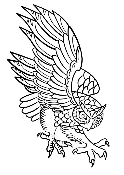 American Traditional Owl Tattoo, Tattoo Templates Stencil, Traditional Owl Tattoo, Traditional Owl, Traditional Owl Tattoos, Portfolio Drawings, Traditional Tattoo Stencils, Trad Tattoos, Skull Art Tattoo