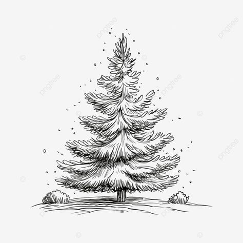 christmas tree vector illustration hand drawn engraving ink sketch pine branch vintage sketch vint Christmas Tree Outline Drawing, Hand Drawn Christmas Tree, Christmas Tree Sketch, Christmas Tree Outline, Christmas Tree Vector, Pine Tree Drawing, Tree Vector Illustration, Old Fashion Christmas Tree, Small Pine Trees