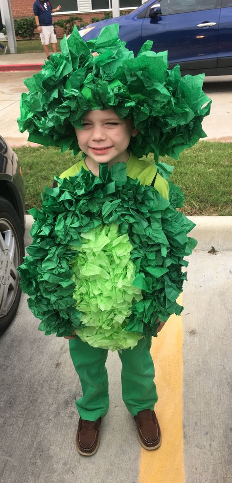 Lettuce Costume Diy, Vegetable Fancy Dress For Kids, Lettuce Costume, Diy Fruit Costume, Broccoli Costume, Fruit Fancy Dress, Register Decoration Ideas, Peanuts Halloween Costume, Otley Run