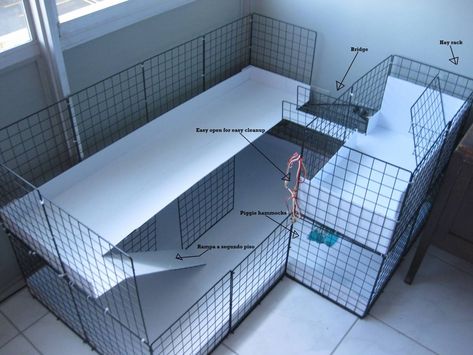 Pig Cage Ideas Outdoor, Guinea Pig Cage Ideas Outdoor, Guinea Pig Cage Ideas Indoor, Guinea Pig Cage Ideas Diy, Guinea Pig Cage Ideas, Indoor Guinea Pig Cage, Pig Habitat, Indoor Rabbit Cage, Diy Guinea Pig Cage