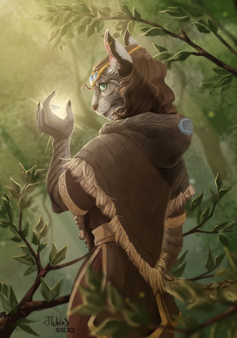 Dnd Tabaxi Wizard, Khajiit Fanart, Khajiit Mage, Khajiit Art, Tabaxi Wizard, Skyrim Fanart, Skyrim Art, Elder Scrolls Art, Paintings And Drawings