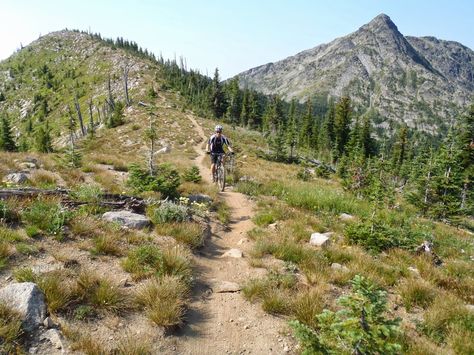 Rossland Bc, Steveston Bc, Revelstoke Bc, Campbell River Bc, Trail Building, Redwoods Treewalk Rotorua, Mountain Bike Trails, Old Glory, Mind's Eye