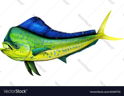 Seafood Illustration, Mahi Fish, Mahi Mahi, Fish Painting, Fish Art, Transparent Png, Dolphins, Png Images, Seafood