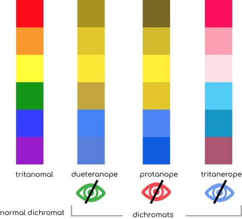 Accessibility Design, Web Design Color, Ux Design Process, Accessible Design, Global Population, Human Centered Design, Vi Design, Eye Of The Beholder, Ux Designer