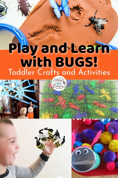 Insect Playdough, Insect Activities For Toddlers, Themed Sensory Bins, Baby Bison, Playdough Ideas, Bug Activities, Butterflies Activities, Educational Activities For Preschoolers, Insect Activities