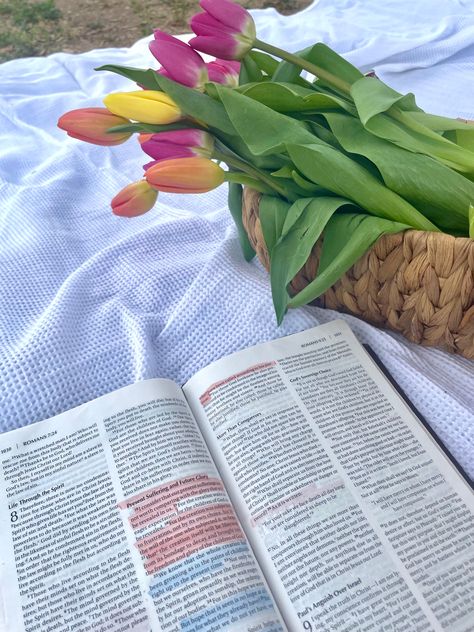 #picnic #date #bible #flowers Bible Study Picnic Aesthetic, Christian Picnic, Bible And Flowers, Bible Picnic, Bible Date, Bible Flowers, Solo Picnic, Picnic Dates, Heaven Is Real