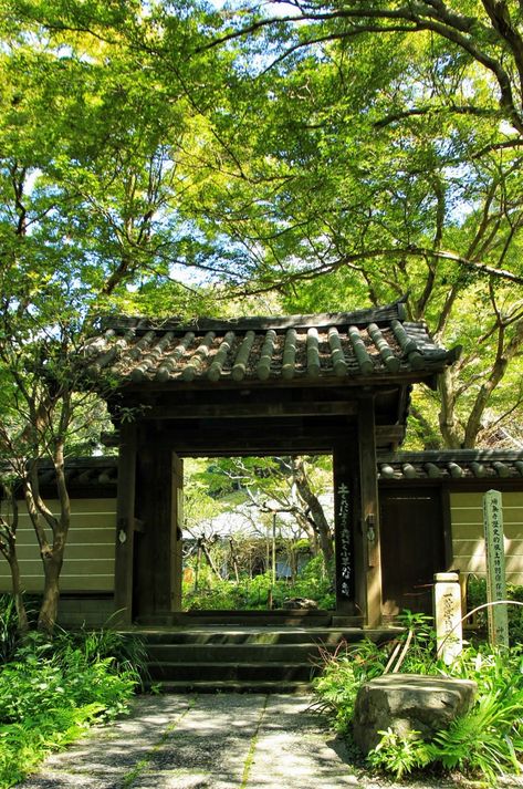 Kinbyōzan Zuisen-ji (錦屏山瑞泉寺) in Kamakura Japanese Entrance, Chinese Gate, Japanese Gate, Traditional Japanese Home, China Architecture, Asian Garden, Kamakura, Chinese Architecture, Japanese Architecture