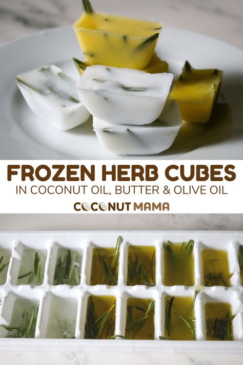 Herb Cubes, Herb Products, Souper Cubes, Freezing Fresh Herbs, Preserve Fresh Herbs, Herb Blends, Make Garlic Bread, Freezing Herbs, Frozen Lemon