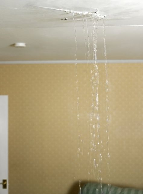 A Bulge in the Ceiling | Hunker Water Damaged Ceiling, Ceiling Leak, Drywall Ceiling, Types Of Ceilings, Garage Roof, Mold In Bathroom, Ceiling Materials, Flood Damage, Generator House