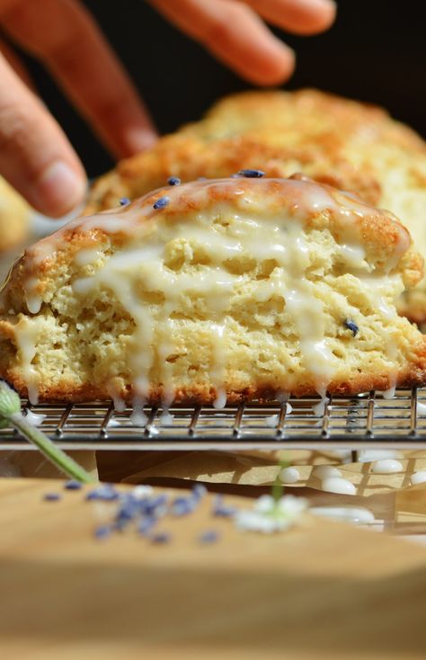 Lavender Honey Scones – Corrigan Sisters Corrigan Sisters, Honey Scones, Lavender Scones, Practically Perfect In Every Way, Culinary Lavender, Lavender Honey, Breakfast Pastries, Practically Perfect, Honey Lemon