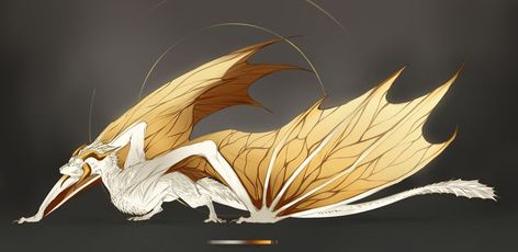 White And Gold Dragon, Wyvern Dragon, Game Of Thrones Dragons, Got Dragons, Mythical Dragons, Dragon Artwork Fantasy, Dragon Sketch, Game Of Thrones Art, Gold Dragon