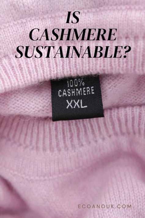 Is Cashmere a Sustainable Fabric? What You Must Know Sustainable Fabric, Fashion Materials, Sustainable Fabrics, Fabric Patterns, You Must, Sustainability, Fabric Design, Cashmere, Fabric