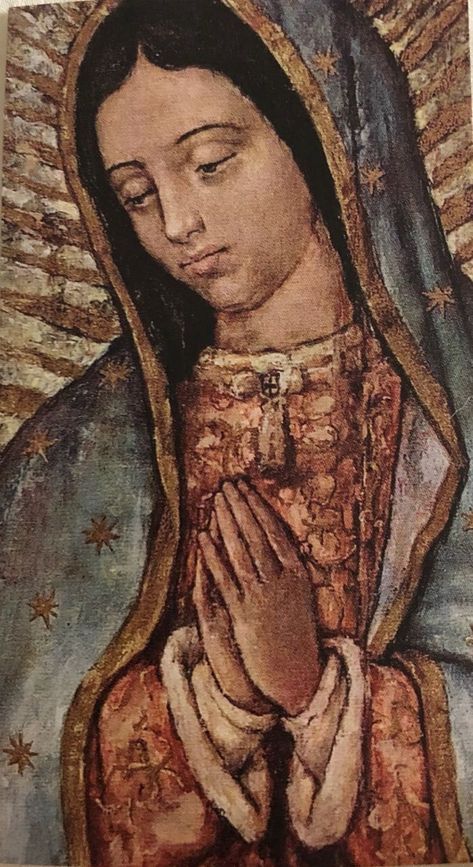 Assumption Of Mary, Virgin Mary Art, Mother Mary Images, Mexican Culture Art, Virgin Of Guadalupe, Mama Mary, Jesus And Mary Pictures, Catholic Images, San Michele