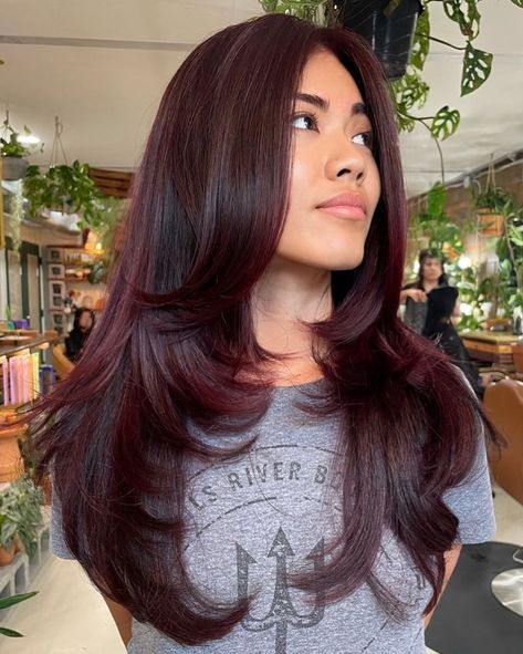 Long Dark Burgundy Butterfly Cut Brunette With Red Tint, Deep Cherry Red Hair Ombre, Black Red Balayage, Dark Maroon Hair, Burgundy Hair Colors, Burgundy Hair With Highlights, Wine Red Hair Color, Deep Burgundy Hair, Burgundy Butterfly