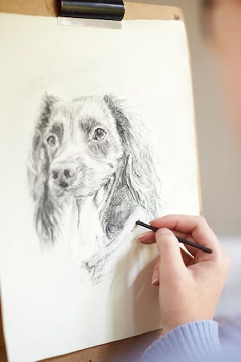 Learn how to sketch a dog step by step Draw Dog Step By Step, Dog Sketch Easy, Drawing A Dog, Draw Dog, Abstract Art Lesson, Dog Drawing Tutorial, Draw A Dog, Drawing Dogs, Border Collie Art