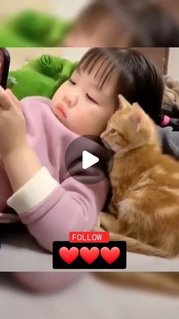 Best Cat Gifs, Cute Animals Puppies, Image Chat, Kitten Gif, Suitcase Packing, Backpack Travel, Baby Kittens, Cute Cat Gif, Kittens Funny