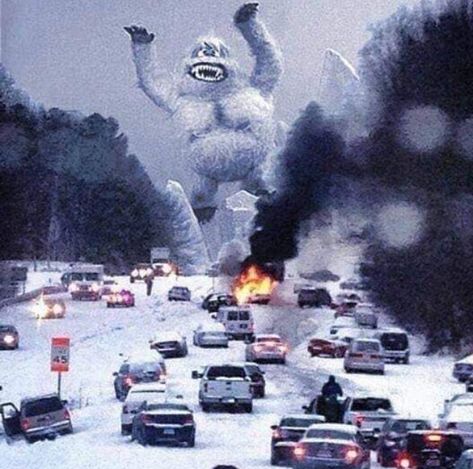 Snow Monster, Reno Tahoe, Snow Storm, Bad Weather, Cute Gif, Wyoming, Mount Rushmore, Just In Case, Montana