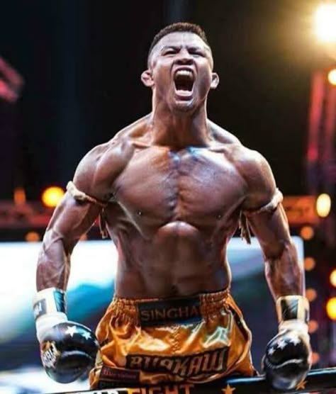 💪 🦾 🦵 🦿 🦶 Buakaw Banchamek, Action Pose Reference, Male Pose Reference, Pencak Silat, Ju Jitsu, Martial Arts Workout, Anatomy Poses, Human Reference, Body Reference Poses