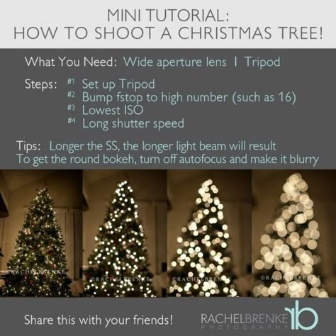 Photography Cheat Sheets, Christmas Tree Lights, Camera Tips, Photography Help, Photography Basics, Have Inspiration, Foto Tips, Photography Tips And Tricks, Tree Lights