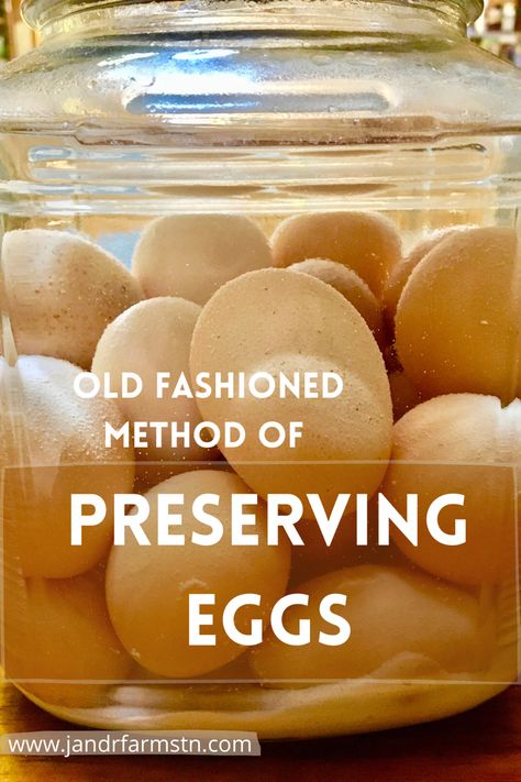 You can simply and safely preserve farm fresh eggs with the water glass method! #eggs #preserving #waterglass #oldfashionedrecipes Waterglassing Eggs, Water Bath Eggs, How To Water Glass Eggs, Water Glassing Eggs, How To Water Glass Fresh Eggs, Waterglassing Chicken Eggs, Storing Farm Fresh Eggs, Homemade Fly Traps, How To Clean Farm Fresh Eggs