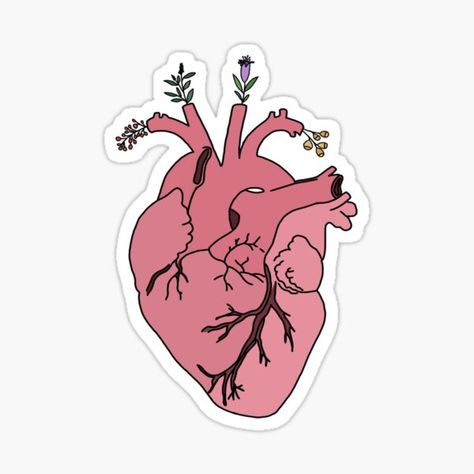 Pegatina «Corazón anatómico» de jaquemv | Redbubble Anatomical Heart With Flowers, Travel Stickers Printable, Heart With Flowers, Medical Stickers, Cute Laptop Stickers, Tumblr Stickers, Scrapbook Stickers Printable, Healthcare Workers, Diary Ideas