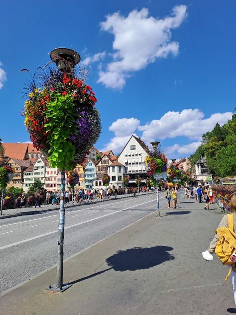 #Travel #Trip #Chill #Love #Tourism #Attraction #Germany #Stuttgart #Tubingen #SBahn #9Euro #Ticket #Square #Nature #City #Tree #Flowers Tubingen Germany, City Tree, Nature City, Dream Reality, Tree Flowers, Travel Trip, Tourism, Vision Board, University