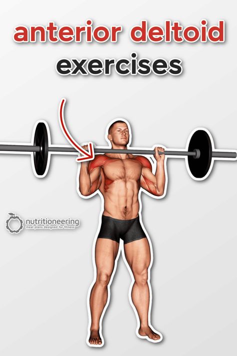 23 Anterior Deltoid Exercises for Shoulder Size & Strength Anterior Deltoid Exercises, Front Deltoid Exercises, Deltoid Exercises, Leg Day Memes, Deltoid Workout, Shoulder Exercise, Dumbbell Shoulder Press, Arnold Press, Dumbbell Press