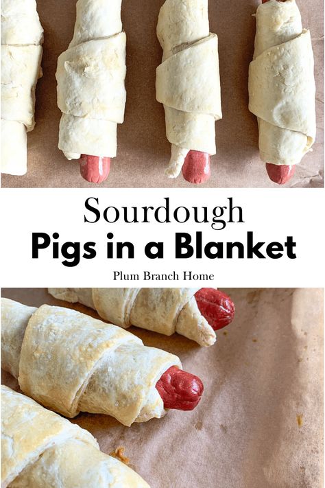 These easy sourdough pigs in a blanket are the perfect savory treat. Each bite is full of flaky sourdough crescent roll and savory beef hot dog. I use wholesome ingredients and simple steps so you can enjoy this dish without all that junk. Sourdough Appetizers, Hot Dog Crescent Rolls, Supper Sides, Homemade Crescent Rolls, Crescent Roll Crust, Baking For Beginners, Discard Recipe, Sourdough Starter Discard Recipe, Frugal Recipes