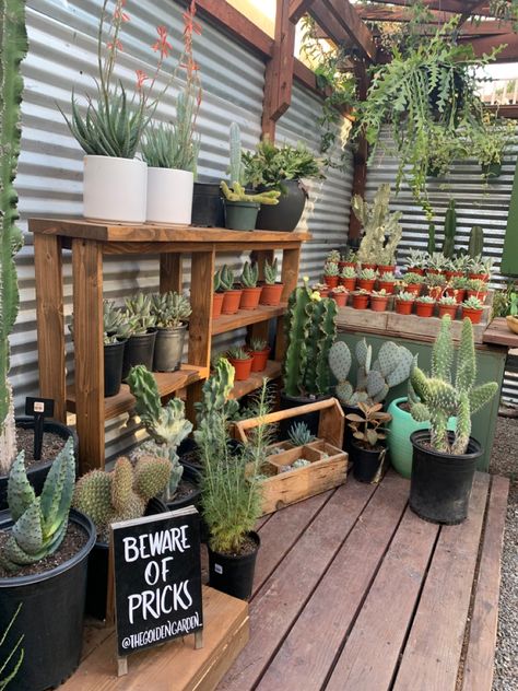 Plant Sales Display, Retail Plant Display Ideas, Selling Plants At Farmers Market, Farmers Market Plant Display, Plant Pop Up Shop, Pop Up Plant Shop, Plant Stall Ideas, Plant Vendor Booth Ideas, Plant Booth Display