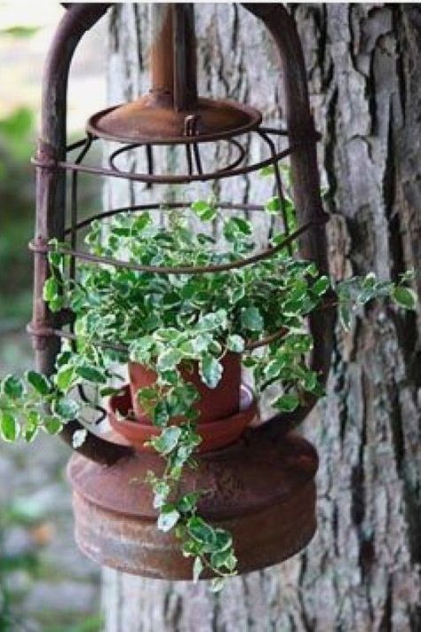 Displaying Bird Houses, Yard Art From Old Garden Tools, Farm Style Landscaping Front Yards, Plants For The Porch, Galvanized Container Decor, Old Pitch Fork Ideas, Rustic Yard Ideas, Repurposed Mirror Ideas, Rustic Landscaping Ideas