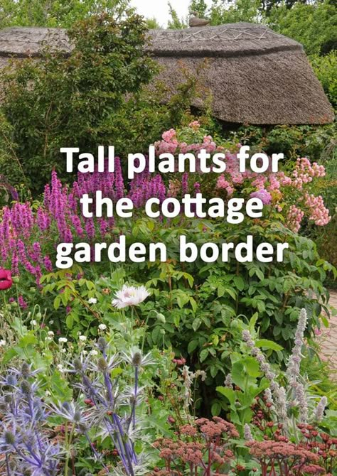 How to make a Cottage garden - Cottage garden Design & Ideas - Buckinghamshire Landscape Gardeners Small Border Garden, Cottage Wildflower Garden, Cottage Garden Border Plan, English Garden Border, English Garden Border Ideas, Country Garden Borders, Wildflower Garden Bed Landscaping Ideas, Fence Border Garden, Cottage Garden Diy