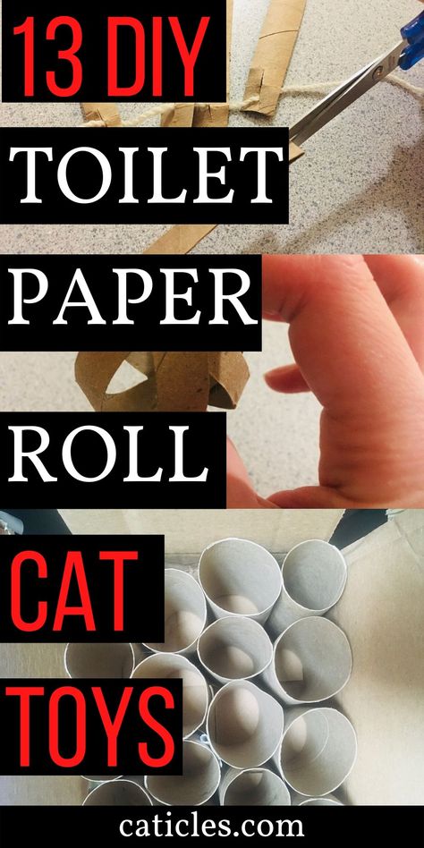 Home Made Cat Toys Ideas, Diy Cat Toys Easy, Food Puzzle, Diy Toilet Paper, Katt Diy, Ferrets Care, Toys For Cats, Puzzle Activity, Homemade Cat Toys